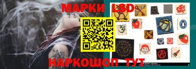 меф Гатчина