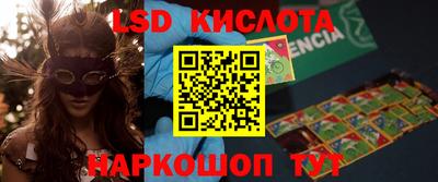 дмт Гай