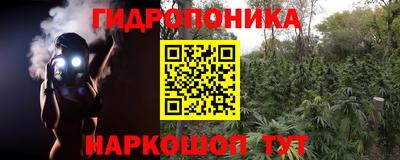 меф Гатчина