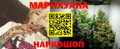 меф Гатчина