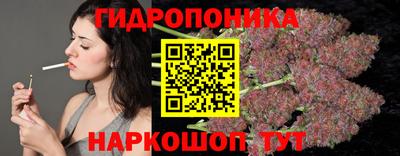 дмт Гай
