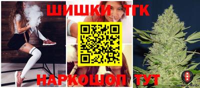 дмт Гай