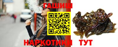дмт Гай
