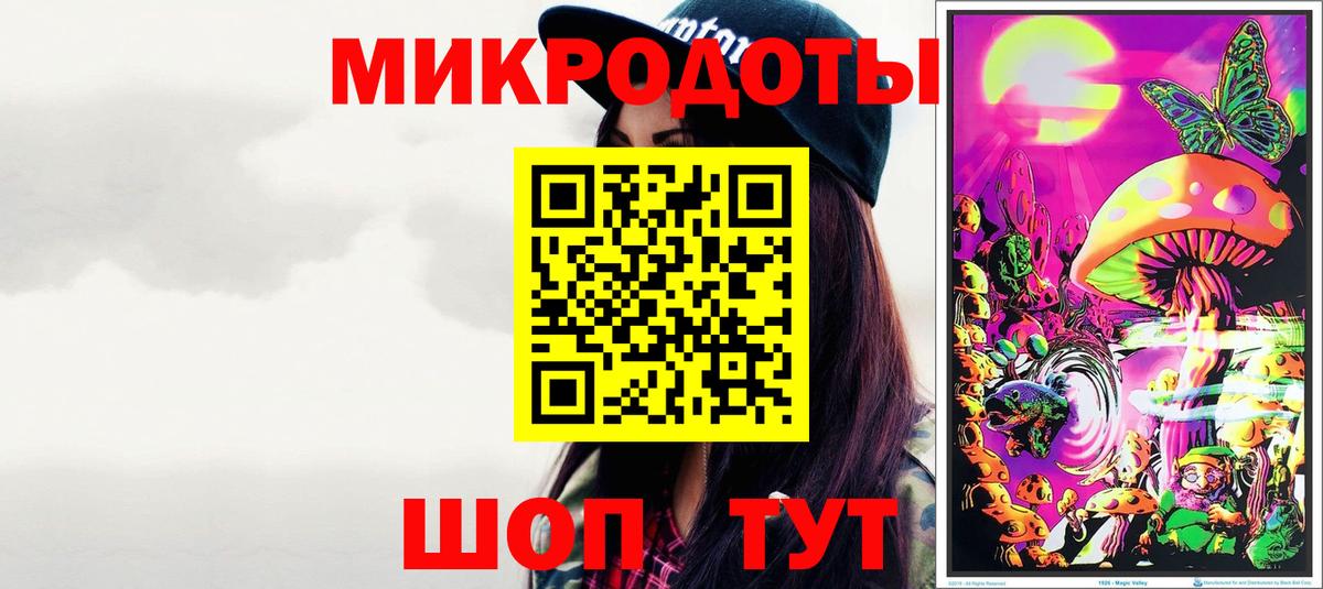 Псилоцибиновые грибы Cubensis Грозный