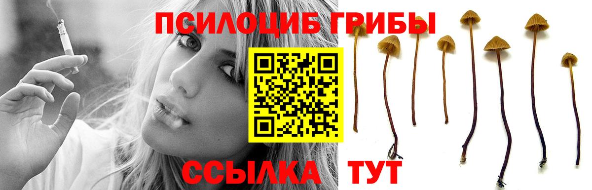 Галлюциногенные грибы MAGIC MUSHROOMS  Вход с VPN  Грозный 