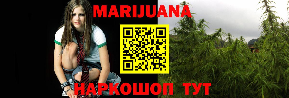 Марихуана план Грозный